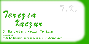terezia kaczur business card